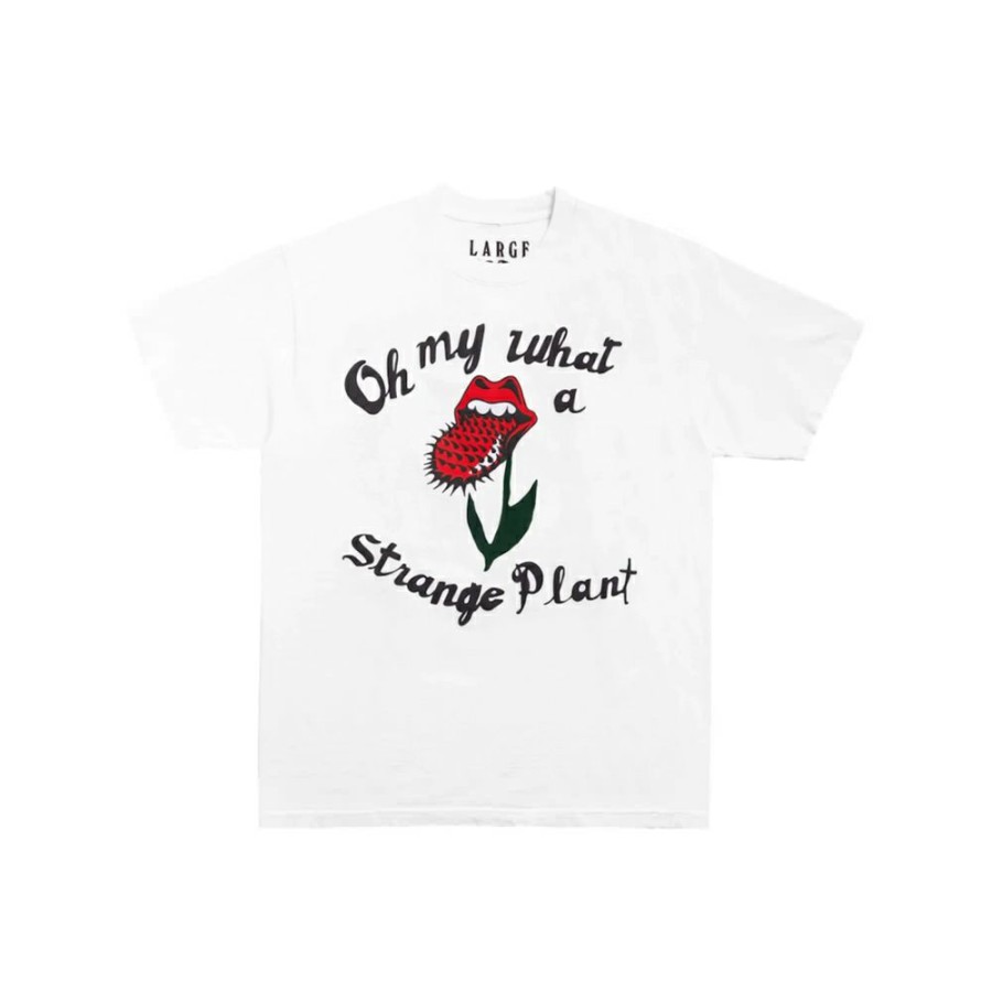 Clothing * | Affordable Price Cactus Plant Flea Market Rolling Stones Strange Plant T-Shirt White