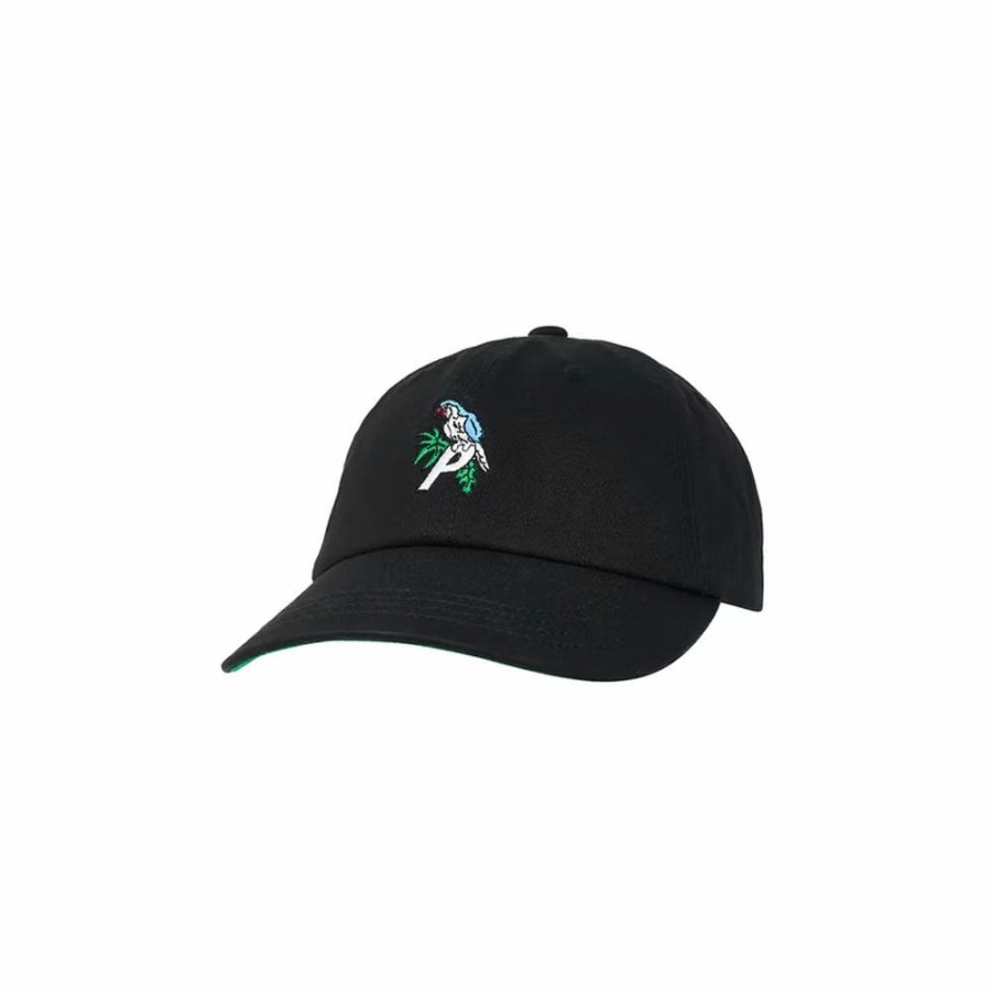 Men * | Temporary Discount Palace Parrot 6-Panel Black